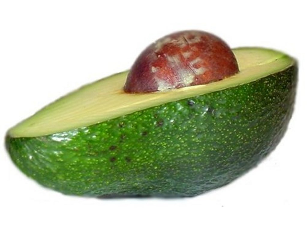 Free Avocado Clipart Pictures