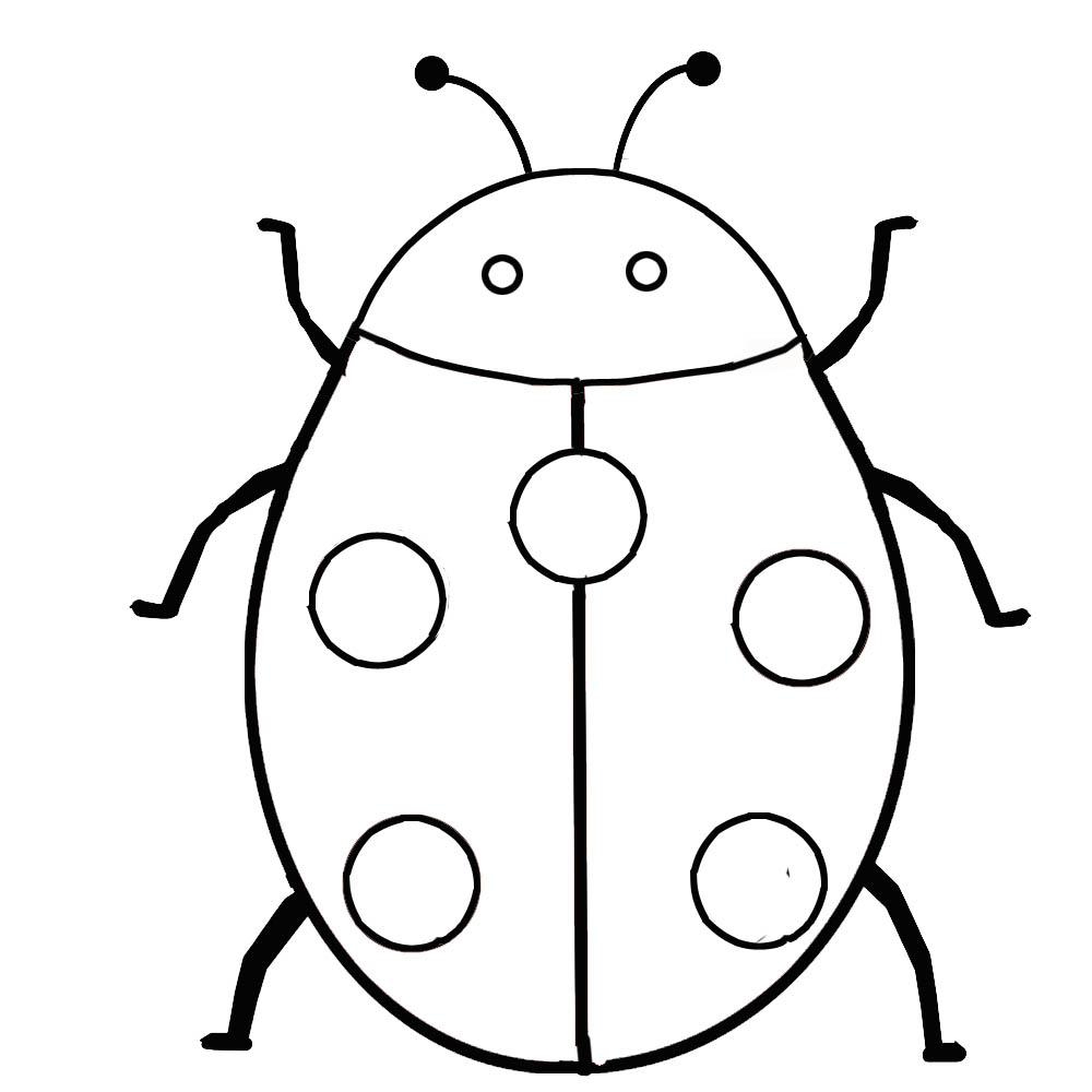 Insect Coloring Pages   Coloring Lab