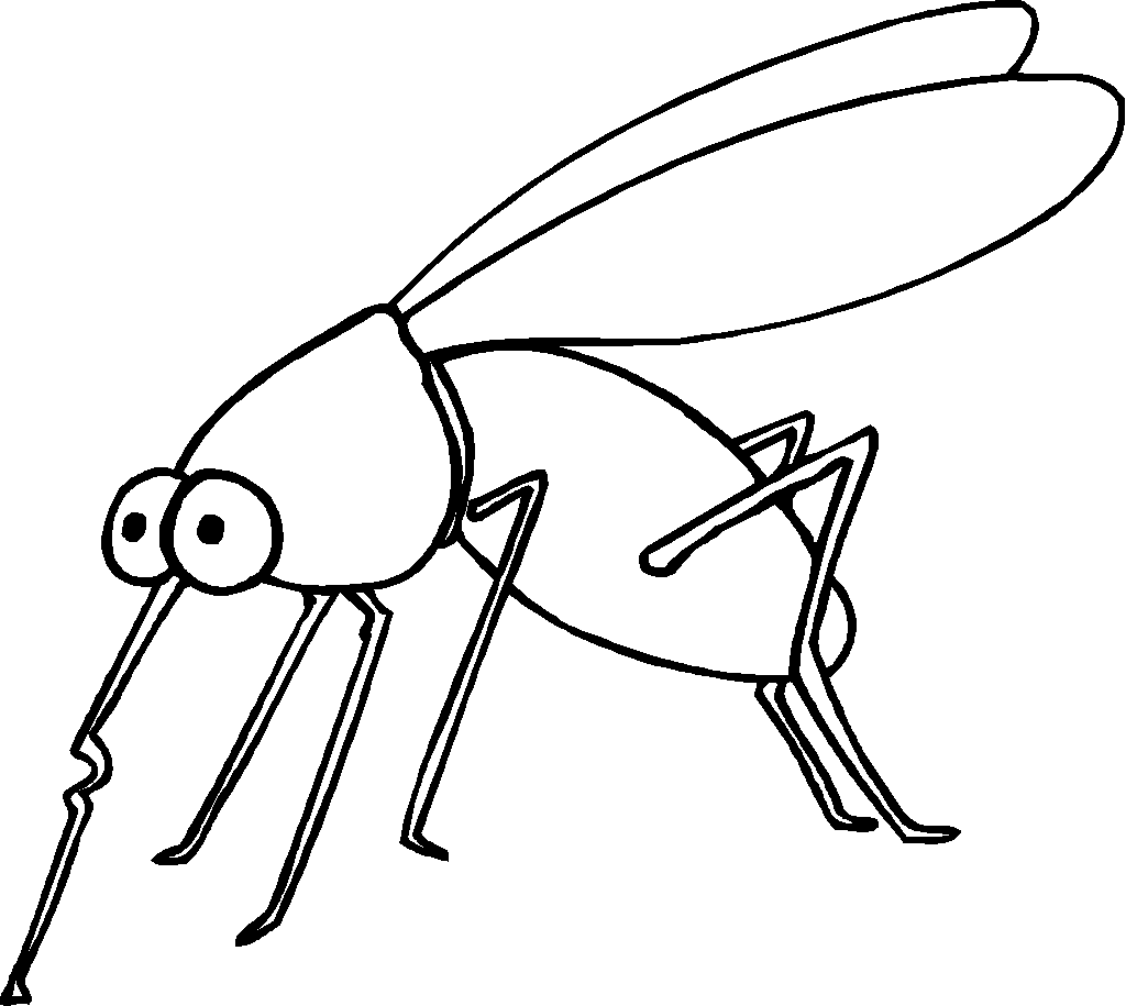 Insect Coloring Pages For Children
