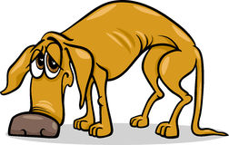 Sad Dog Cartoon Stock Illustrations Vectors   Clipart   Dreamstime