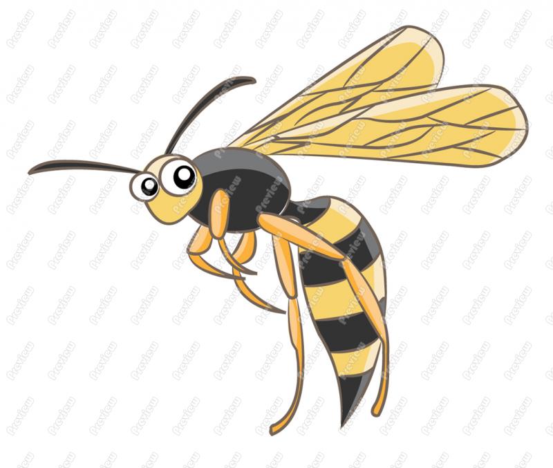 Wasp Character Clip Art   Royalty Free Clipart   Vector Cartoon