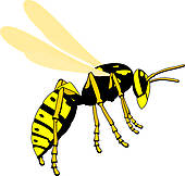 Wasp Clip Art   Royalty Free   Gograph