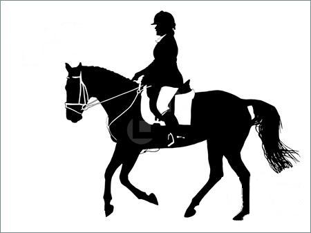 Dressage Horse Clipart   Free Clip Art Images