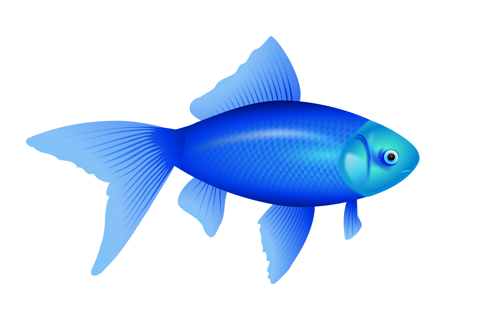 Clipartist Net   Clip Art   Blue Fish Goldfish Svg