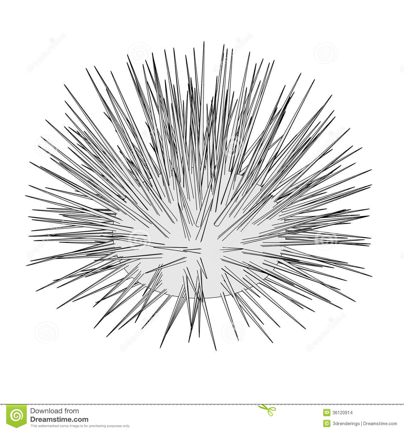 Image Of Sea Urchin Stock Images   Image  36120914