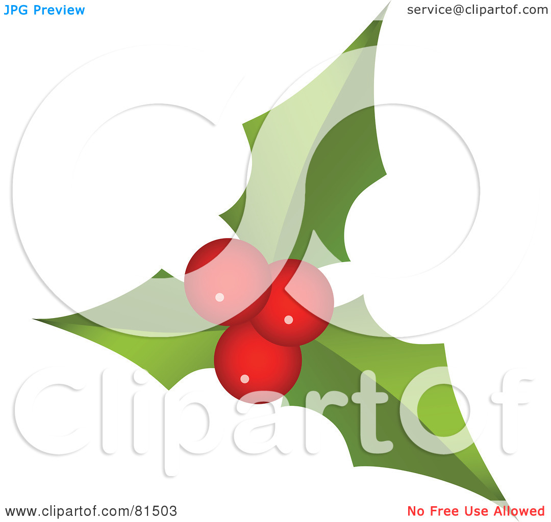 Royalty Free  Rf  Clipart Illustration Of Three Round Red Holly