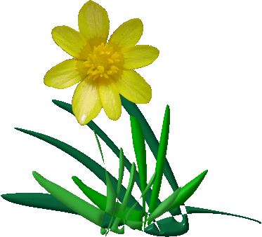 Animated Spring Flowers   Clipart Best