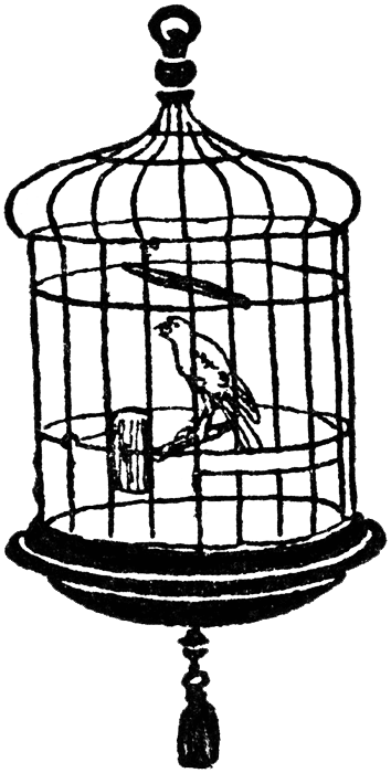 Free Vintage Digital Stamps    Free Digital Stamp   Canary Bird Cage