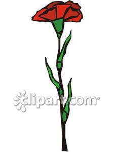 One Red Carnation   Royalty Free Clipart Picture