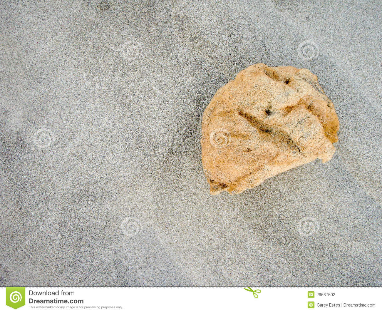 Sea Sponge From Above Stock Photography   Image  29567502