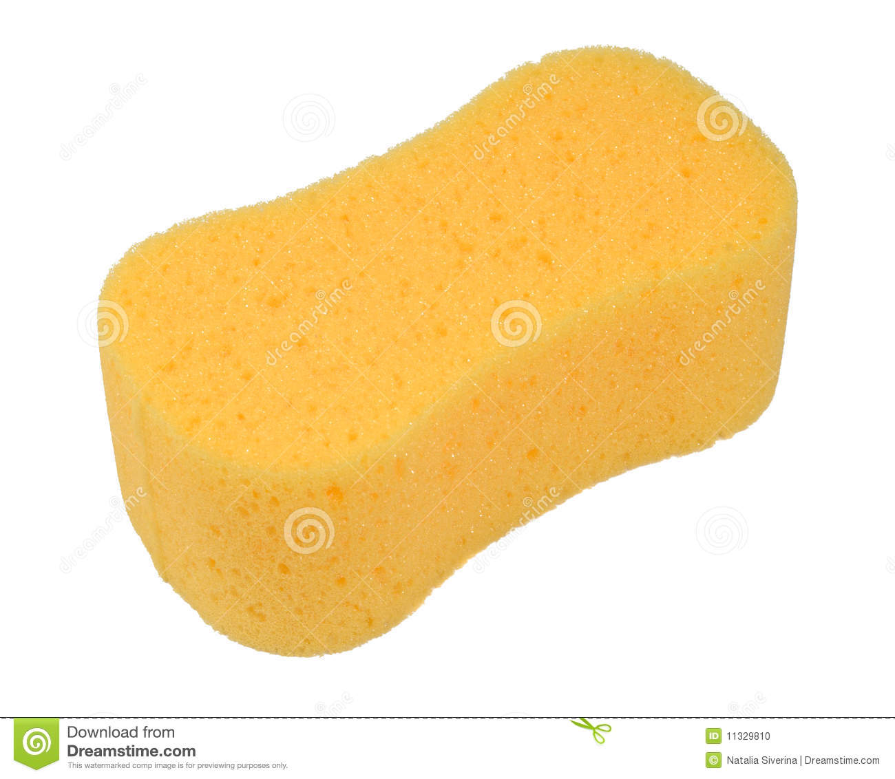 Sponge Clipart Bath Sponge