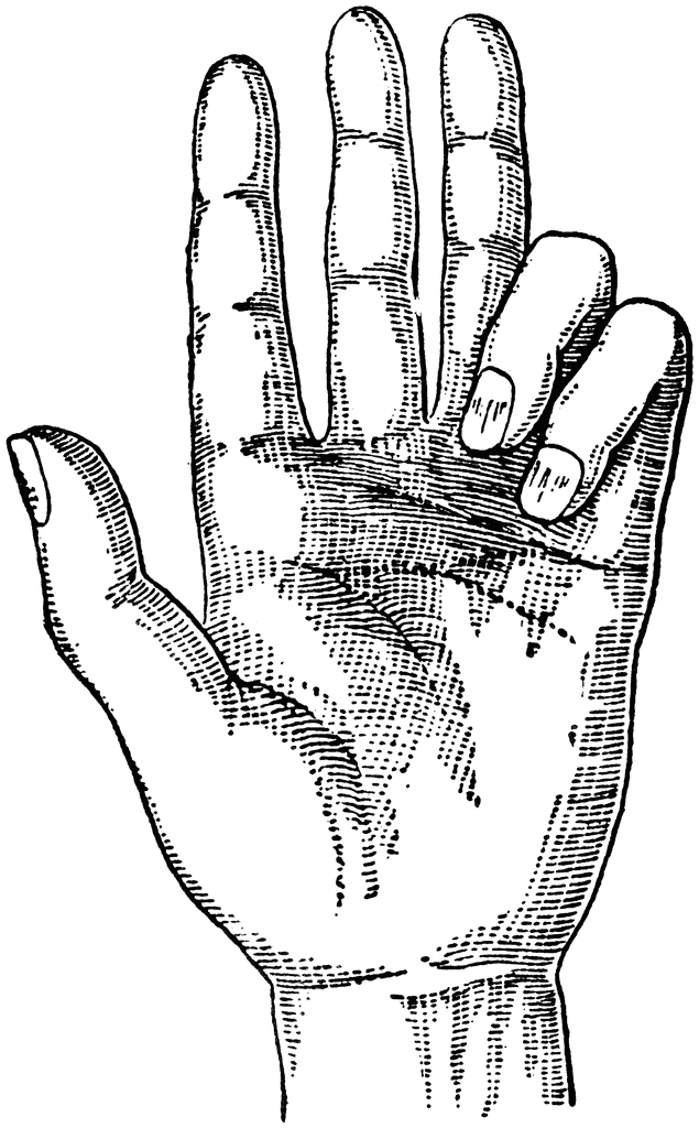 Back   Gallery For   Nice Hands Clip Art