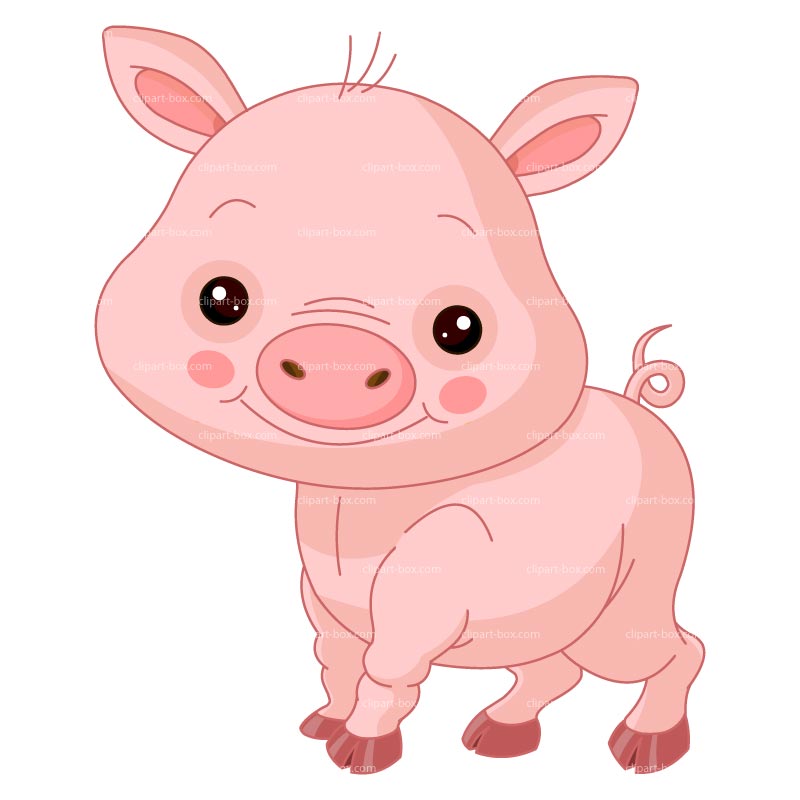 Clipart Cute Pig   Royalty Free Vector Design