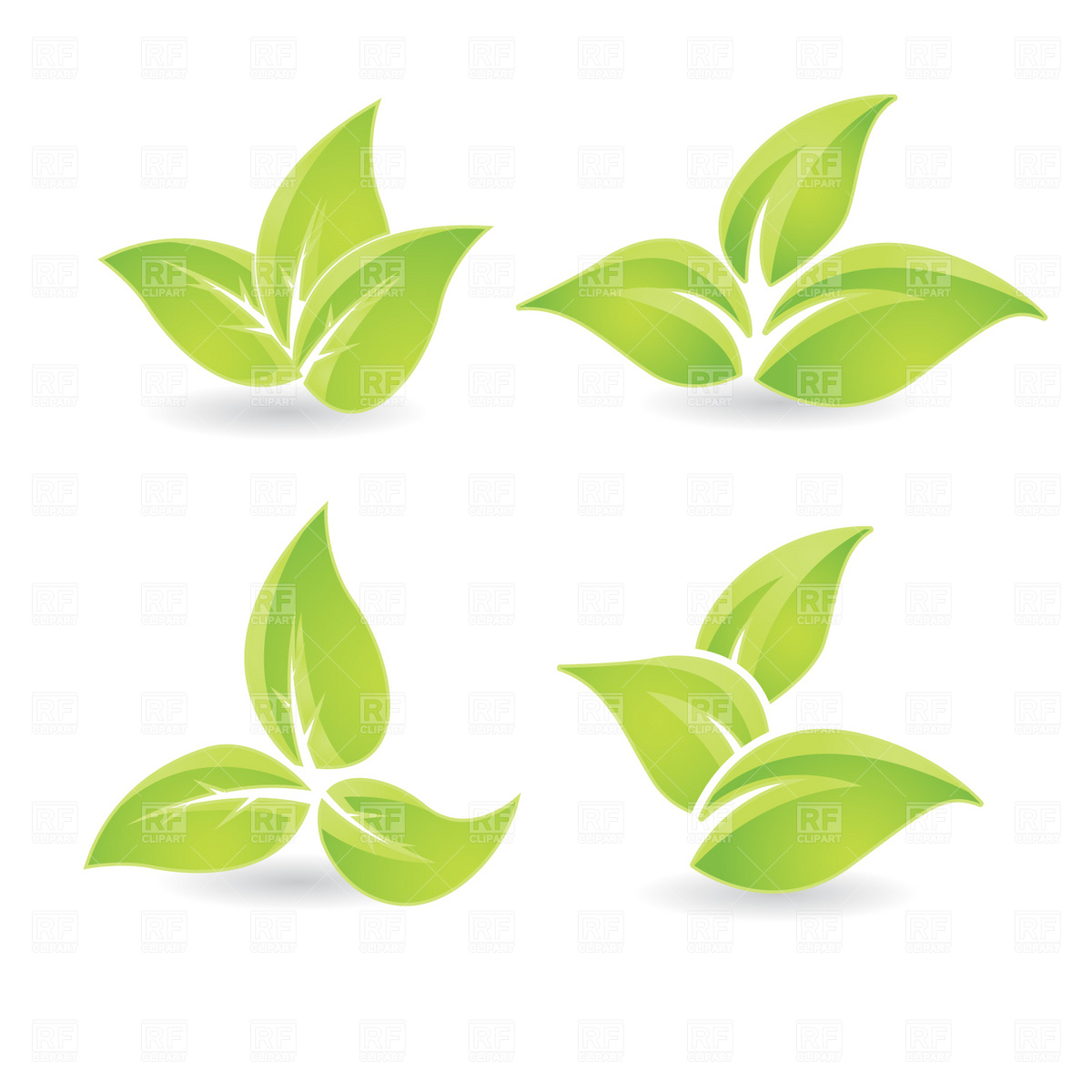 Green Leaf Download Royalty Free Vector Clipart  Eps