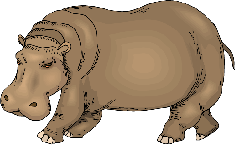 Hippo Clipart