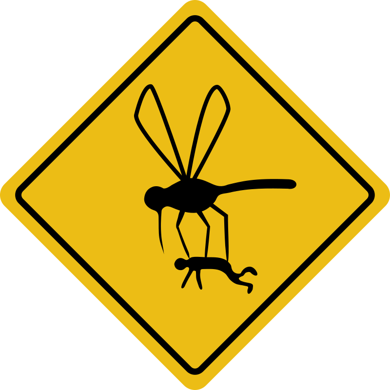 Mosquito Hazard By Rones   Mosquito Hazard 