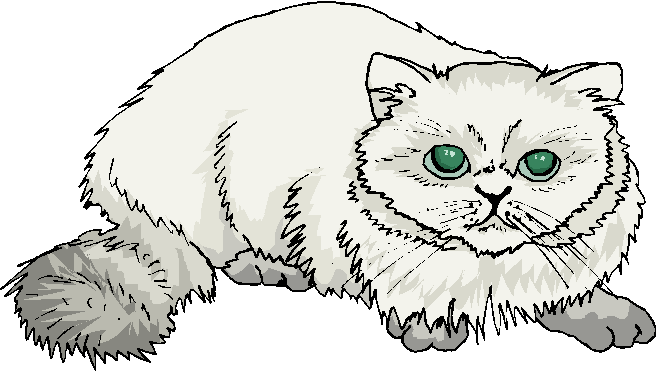 White Fat Cat Free Animal Clipart
