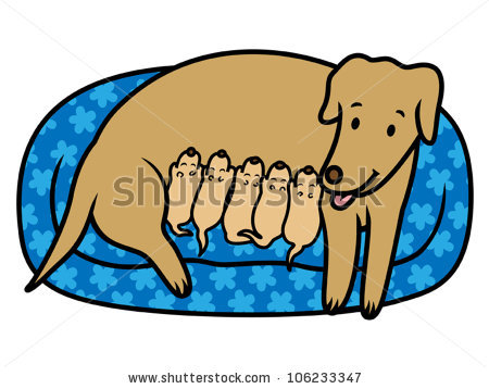 Cartoon Dog Bed Clipart   Free Clip Art Images