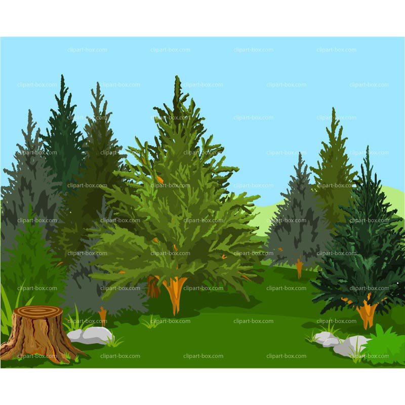 Gallery Of Pine Tree Forest Clip Art