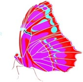 Like Or Share Related Pictures Butterfly Clip Art Mb Open Office