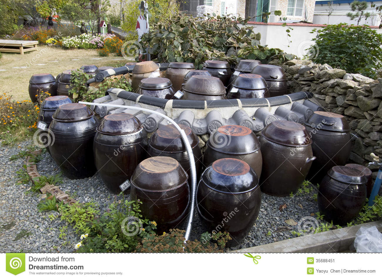 These Jars Were The Traditional Vessels For The Fermentation Process