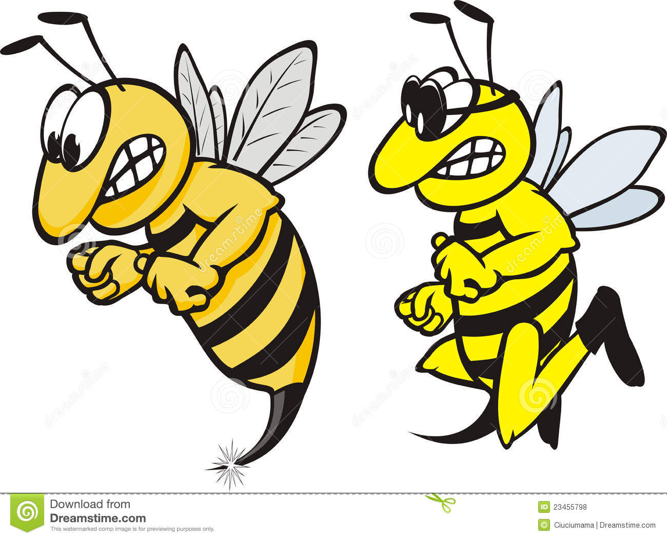 Angry Wasp Royalty Free Stock Photos   Image  23455798