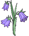 Free Animated Flowers   Animated Flower Clipart   Blue Bells