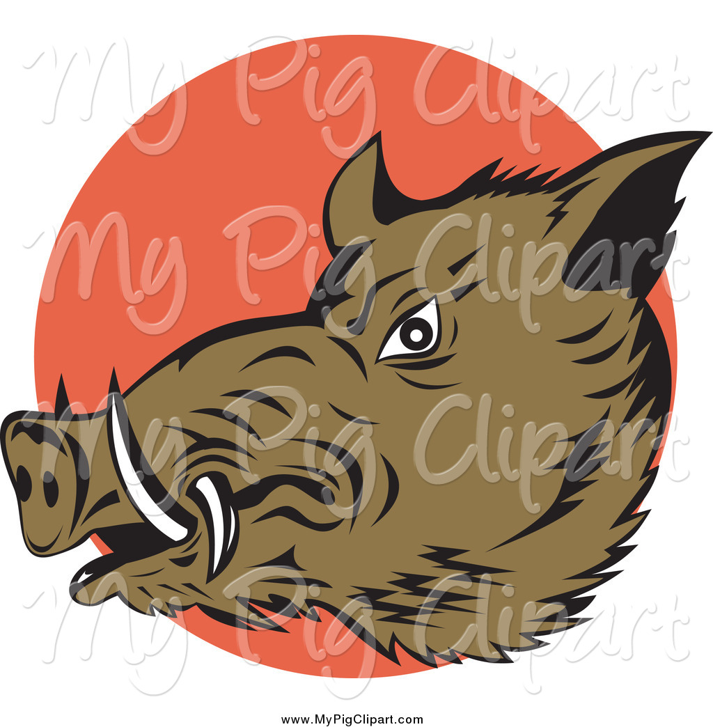 Larger Preview  Swine Clipart Of A Wild Boar Over An Orange Circle By    