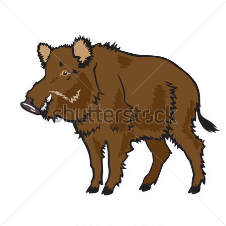 Wild Boar Vector Clip Art