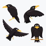 Black Crow Clip Art Vector Graphics  776 Black Crow Eps Clipart Vector