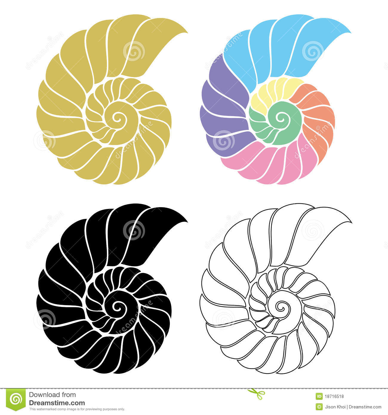 Different Colour Of Nautilus In Vector Illustration