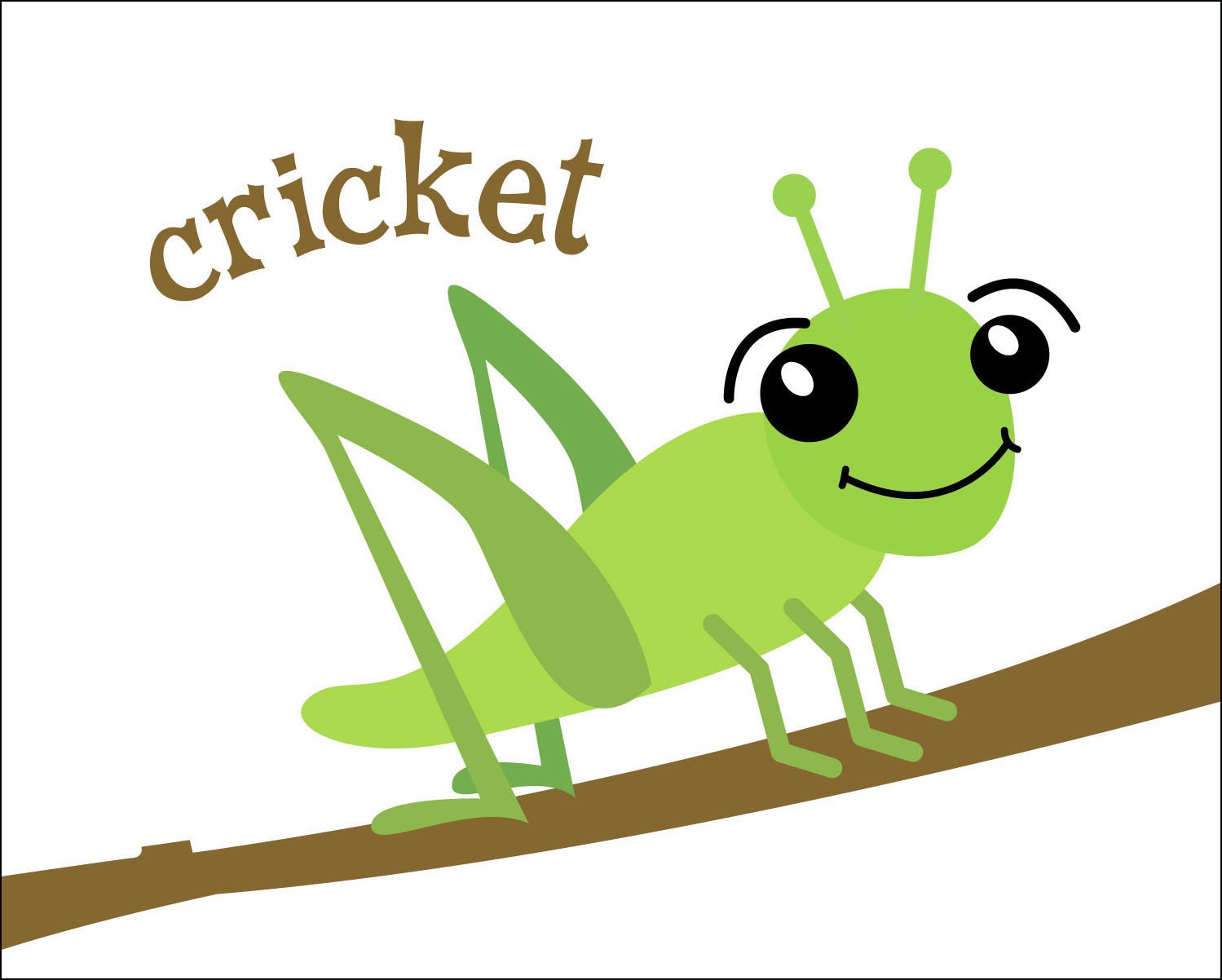 Displaying 19  Images For   Cricket Bug Cartoon
