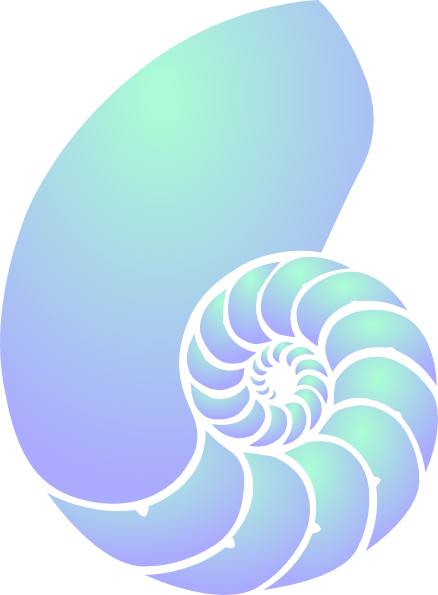 Green And Blue Nautilus Shell Clip Art At Clker Com   Vector Clip Art