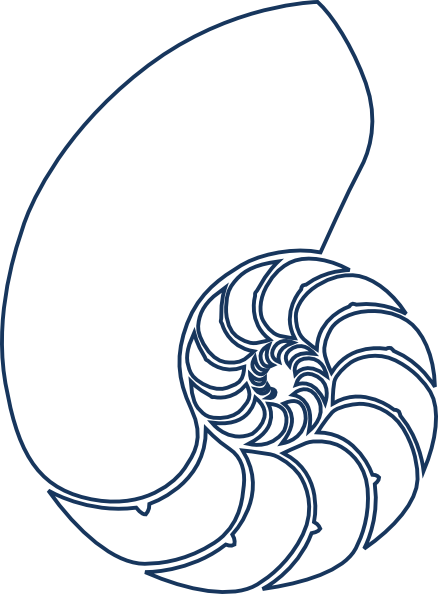 Nautilus Navy Blue Clip Art At Clker Com   Vector Clip Art Online    