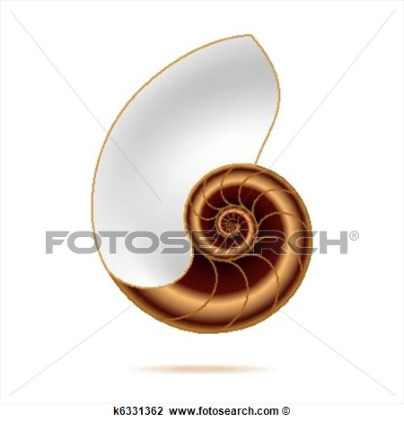 Nautilus Shell View Large Clip Art Graphic