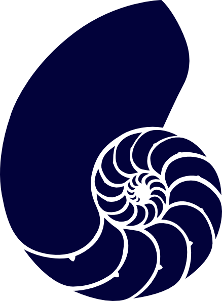 Navy Blue Nautilus Shell Clip Art At Clker Com   Vector Clip Art