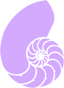 Purple Nautilus Shell Clip Art At Clker Com   Vector Clip Art Online