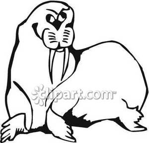 Silly Black And White Walrus   Royalty Free Clipart Picture