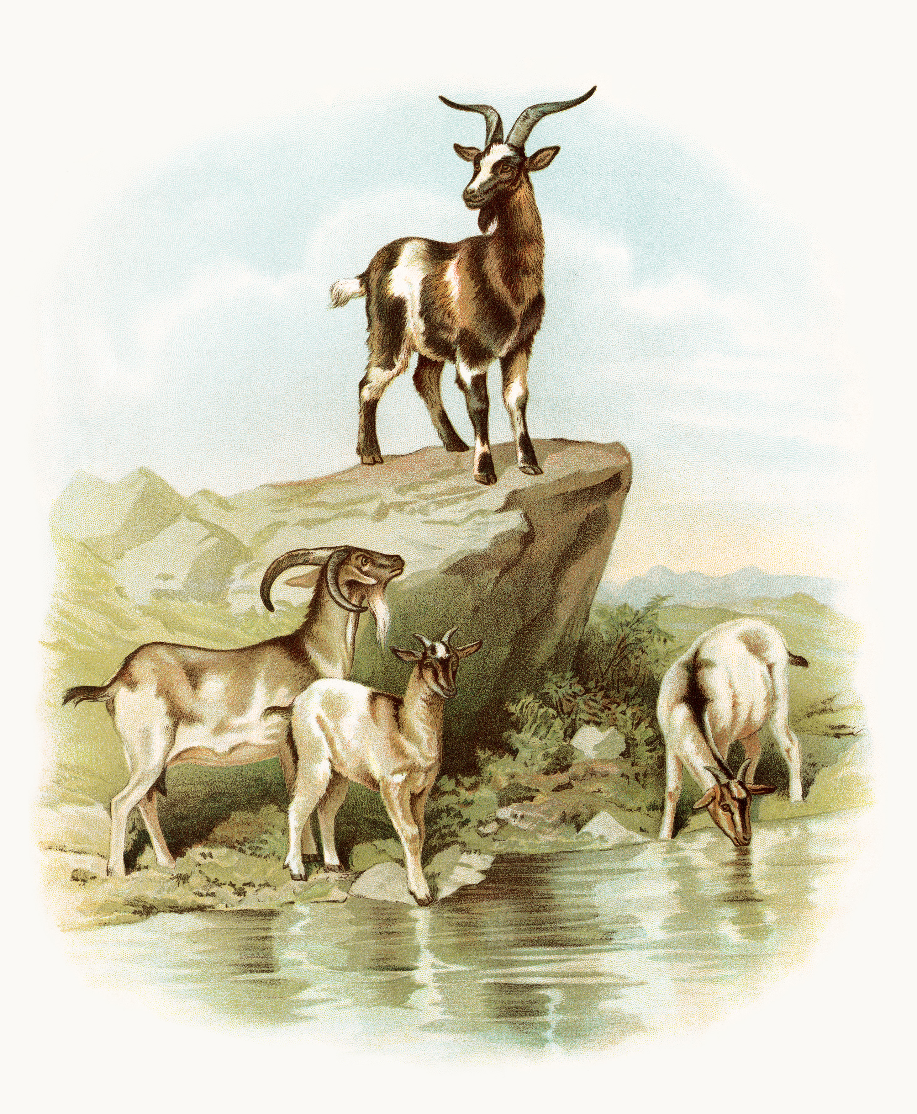 Vintage Goat Clipart Farm Animal Printable Visit To The Farm