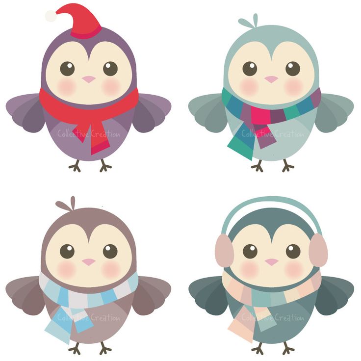 Winter Owls Digital Clipart   Personal And Commercial Use   Clip Art
