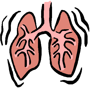 10 Respiratory System Clip Art Free Cliparts That You Can Download To    