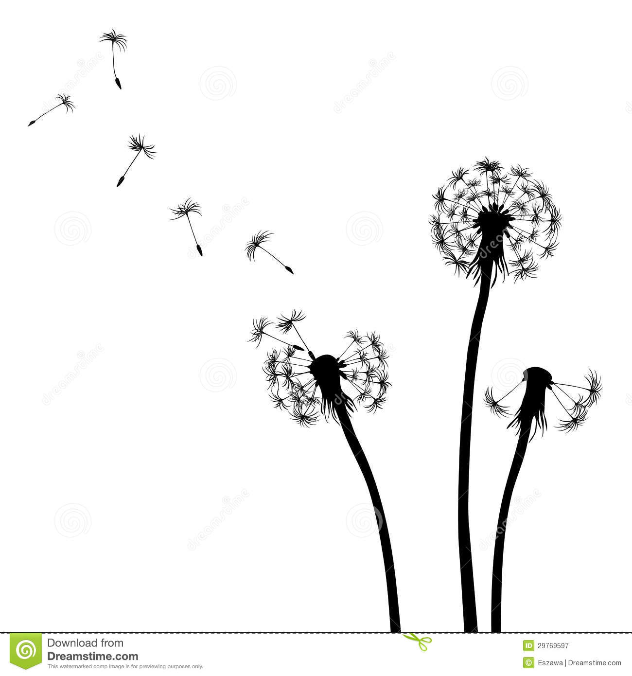 Black And White Dandelion Clipart Floral Background Dandelion