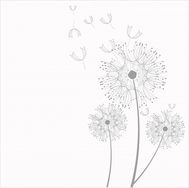 Dandelion Flowers Clipart By Karen Arnold