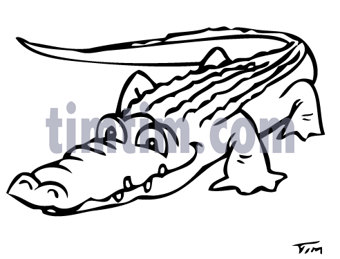 Free Drawing Of Alligator B W From The Category  Reptiles Dinosaurs