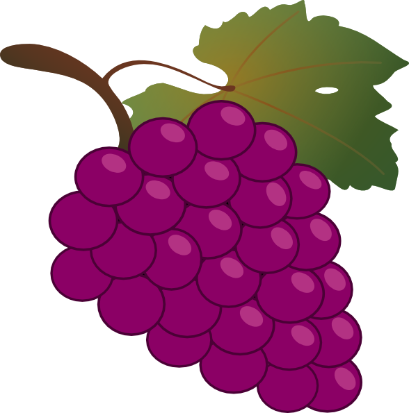 Grape Clip Art At Clker Com   Vector Clip Art Online Royalty Free