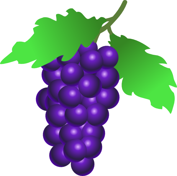 Grapes Vine Clip Art At Clker Com   Vector Clip Art Online Royalty