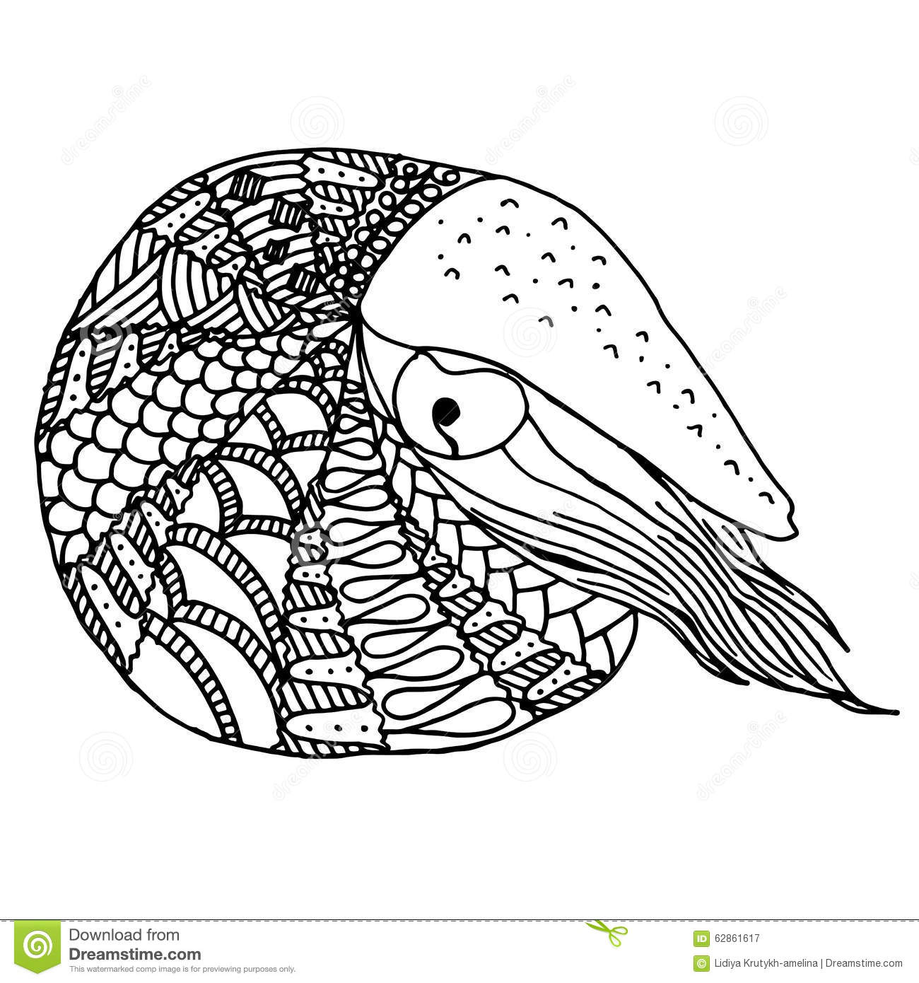 Hand Drawn Nautilus In Zentangle Style Stock Vector   Image  62861617