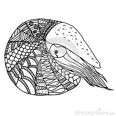 Hand Drawn Nautilus In Zentangle Style Stock Vector   Image  62861617