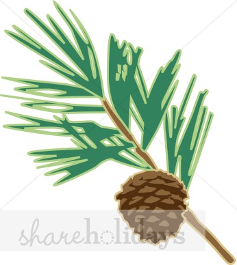 Contemporary Pine Bough And Cone