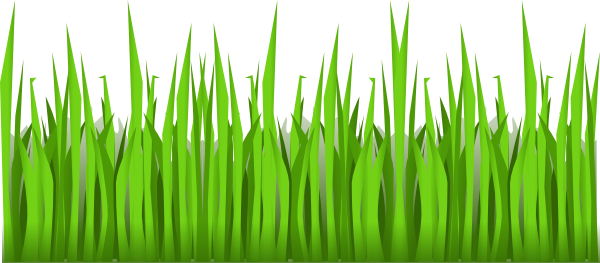 Grass Tall Picture Clip Art At Clker Com   Vector Clip Art Online